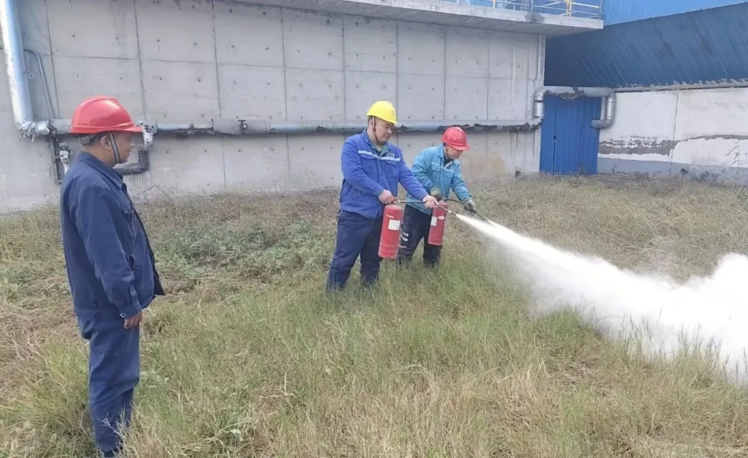 1765106322938307.jpg 1765106322938307.jpg