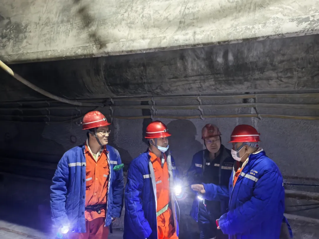 1770088416100522.jpg 1770088416100522.jpg